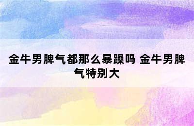 金牛男脾气都那么暴躁吗 金牛男脾气特别大